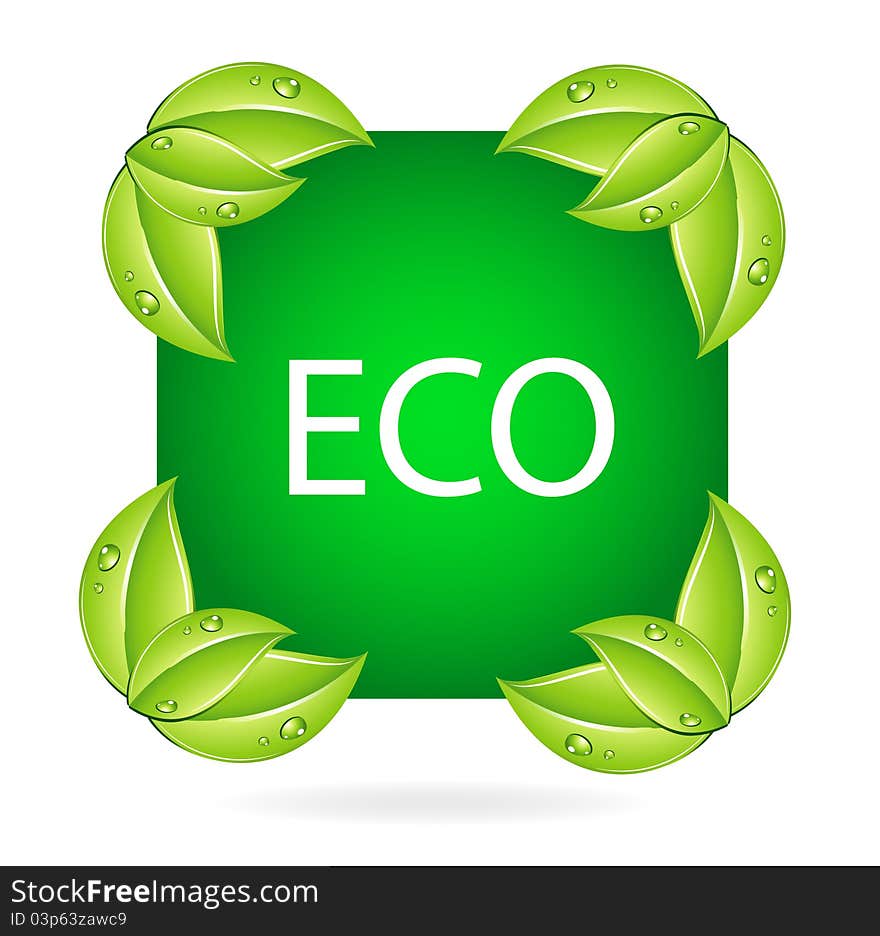 Nature eco symbol and leafs green color