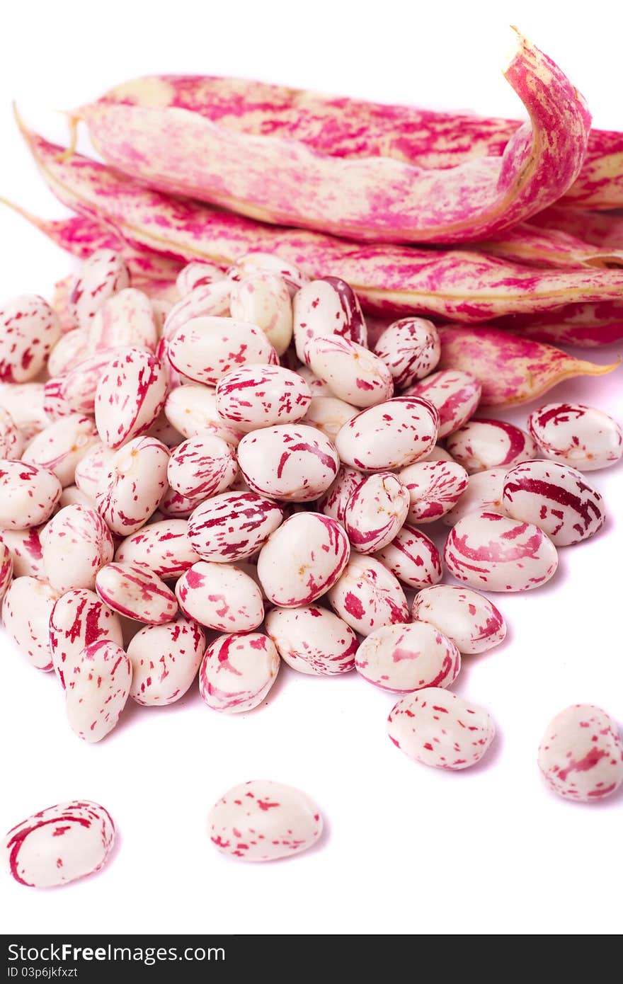 Close detail view of borlotti beans  on a white background.