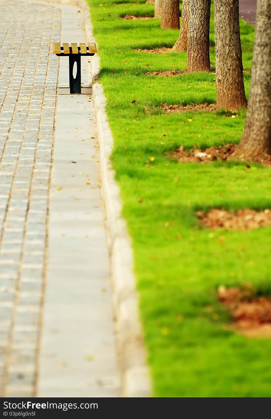 Tree-lined road in park