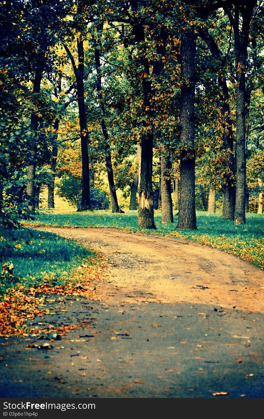 Magic road in the autumn park