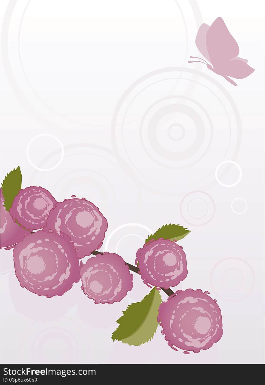 Pink rose background with butterfly. Pink rose background with butterfly