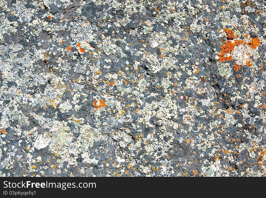 Grey stone with accurate structure close up for your background