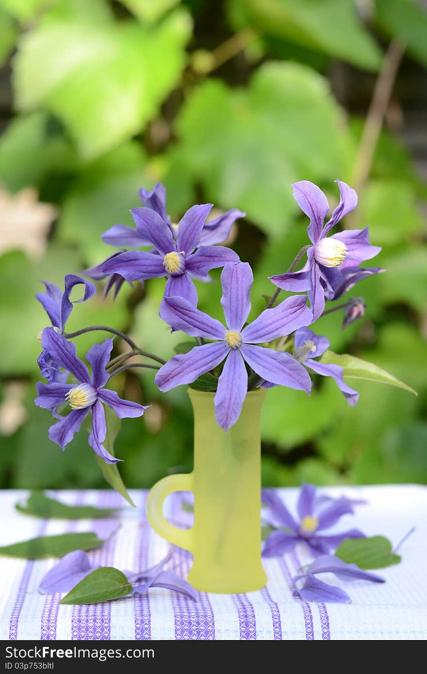 Clematis