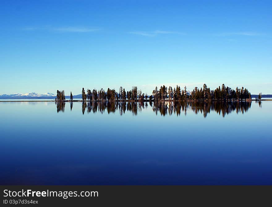 Tree line in the early morning at yellowstone lake. Tree line in the early morning at yellowstone lake