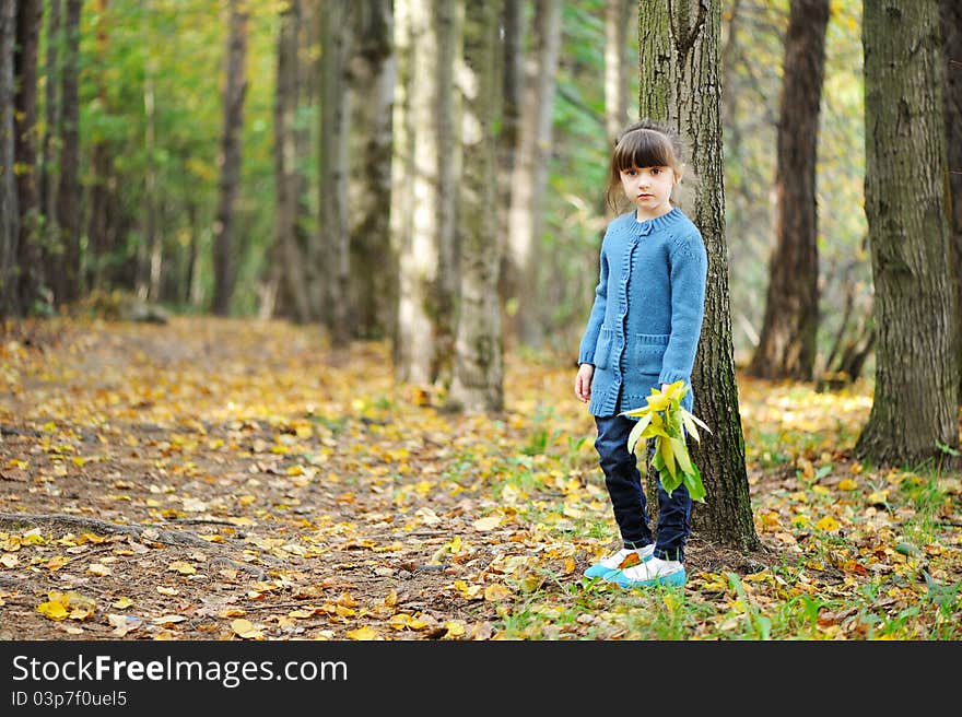 Adorable child girl walks in autumn forest