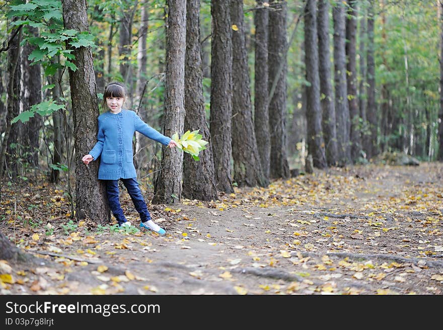 Adorable child girl walks in autumn forest