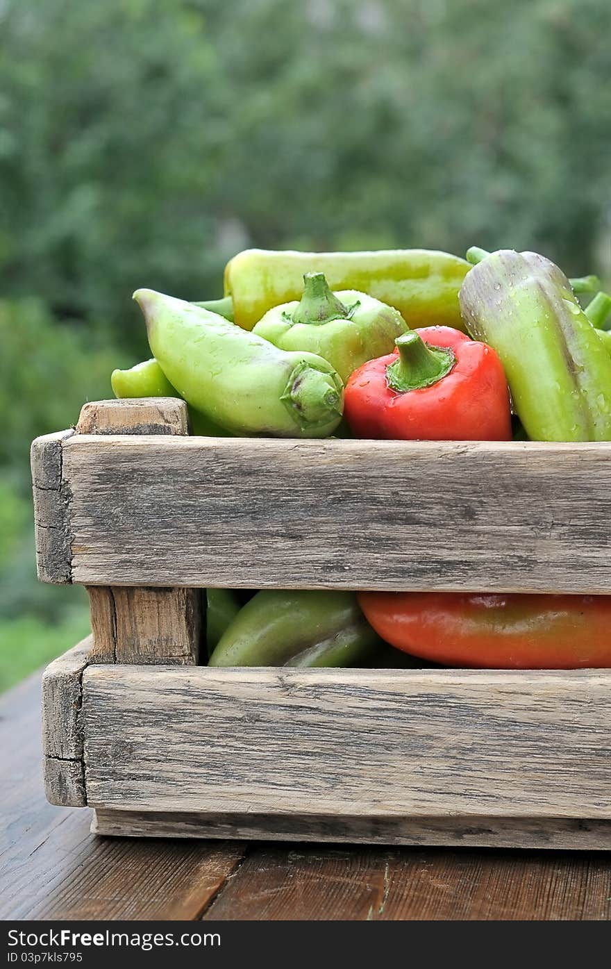 Box with peppers. Heap on a background of green peppers. Box with peppers. Heap on a background of green peppers.