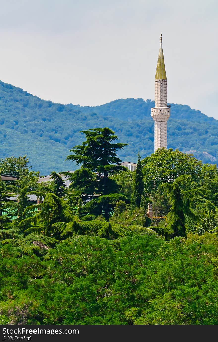 Summer, green trees and mountains