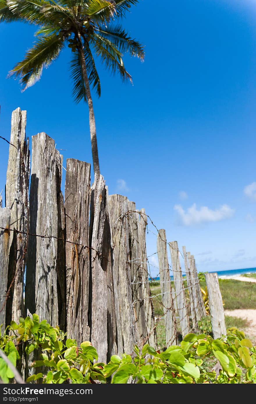 Took in front of a beach to protect holiday home. Took in front of a beach to protect holiday home.