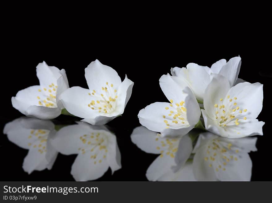 Beautiful flower with splashes of water