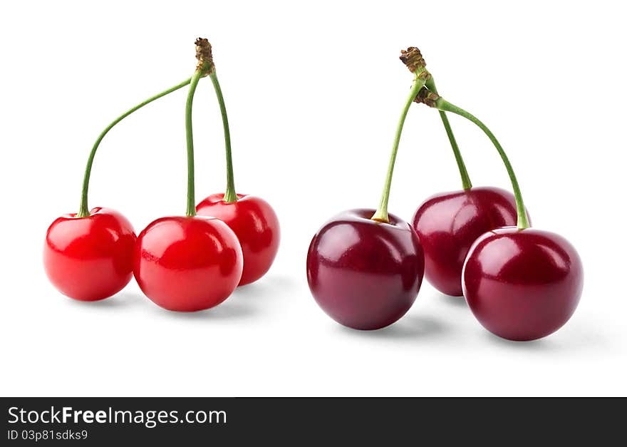 Red and vinous cherries on white background