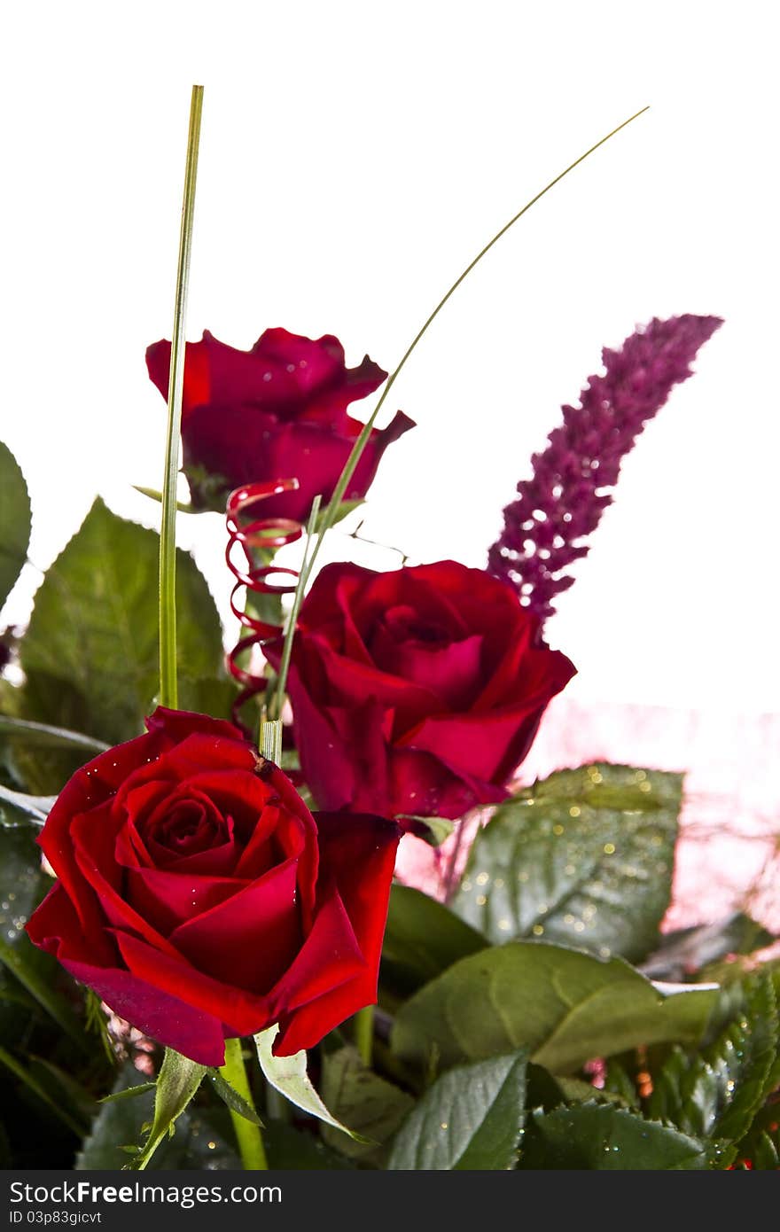 Bouquet of red roses isolatet on white background. Bouquet of red roses isolatet on white background