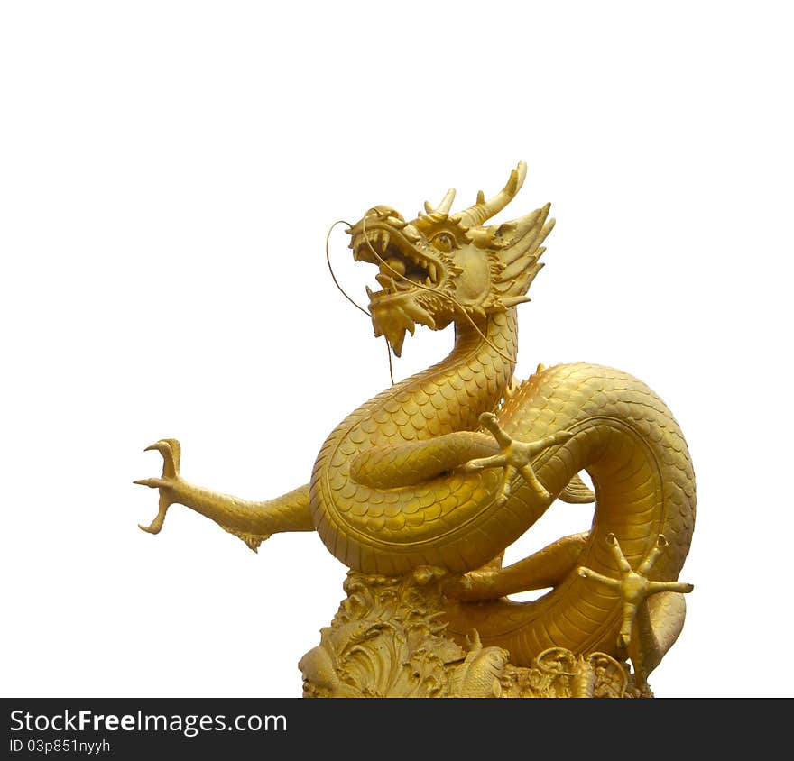 Golden dragon in white background