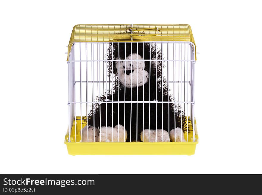 A monkey in the yellow cage, looking depressed. A monkey in the yellow cage, looking depressed