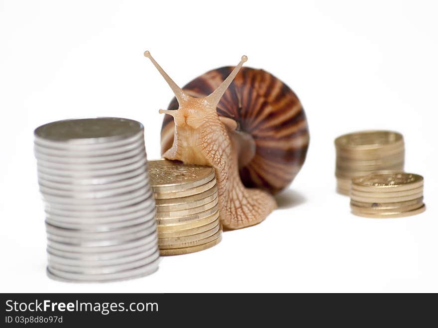 Snail crawling along the stairs