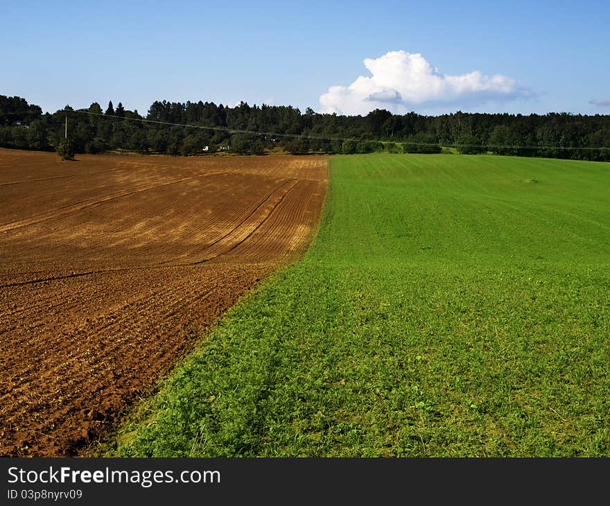 Green and brown field and blue sky