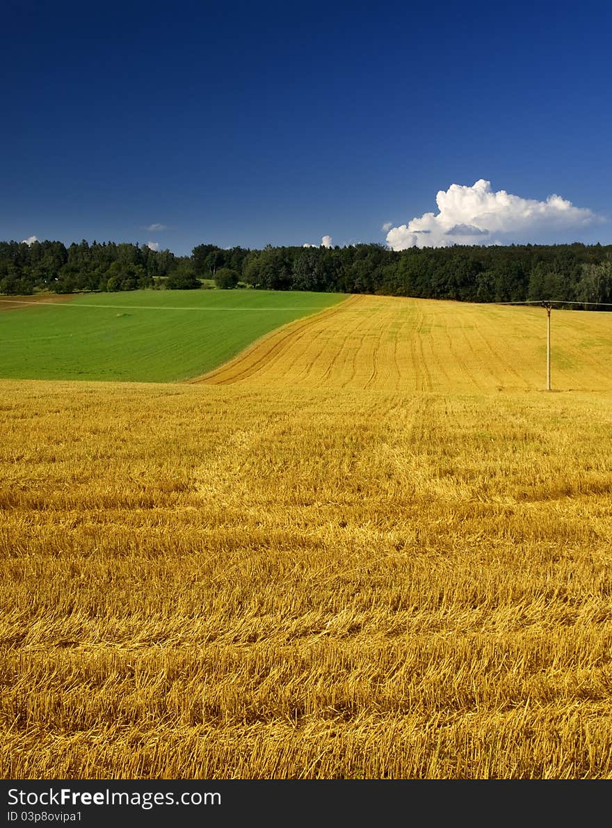 Green and yellow field and blue sky