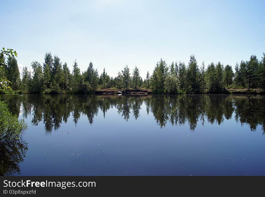 Wood at lake