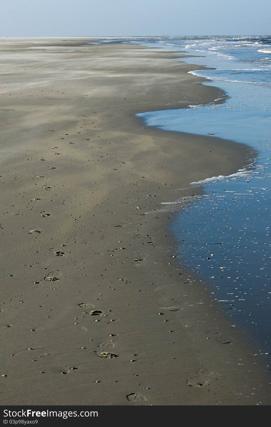 Tracks On The Beach