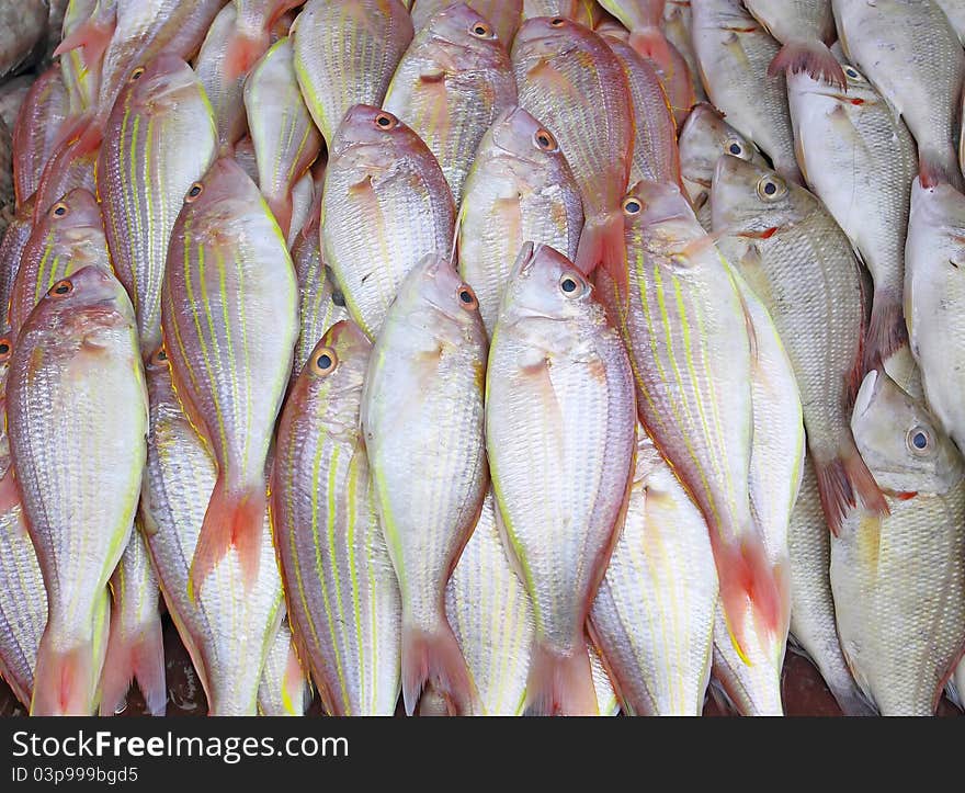 Fresh Fish on the market in phuket Thailand. Fresh Fish on the market in phuket Thailand