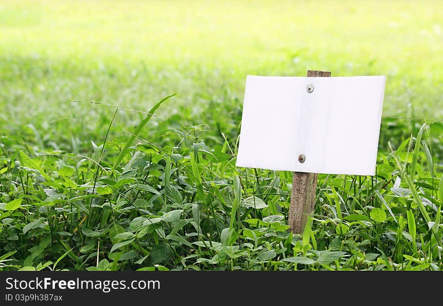 White sign board in green meodow for text writing and background. White sign board in green meodow for text writing and background