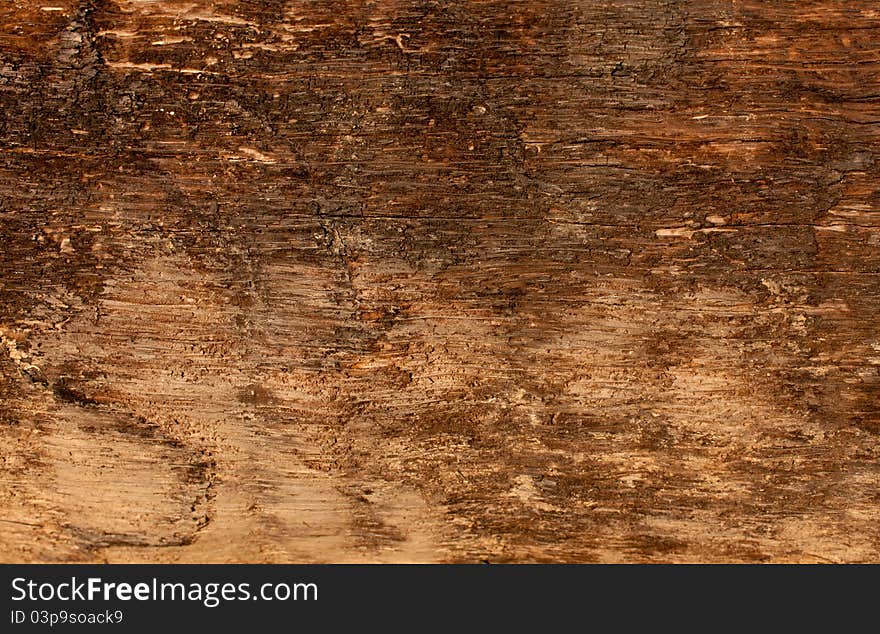 Old Wood Texture