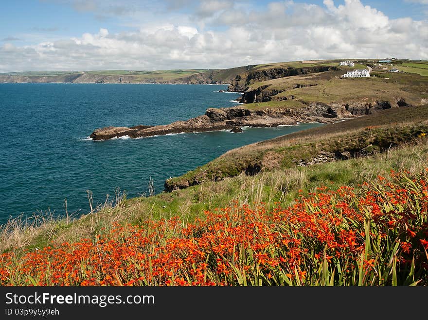 Landscape in Port Isaac