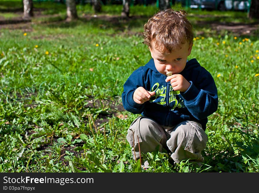 Cute baby blowing on a dandelion