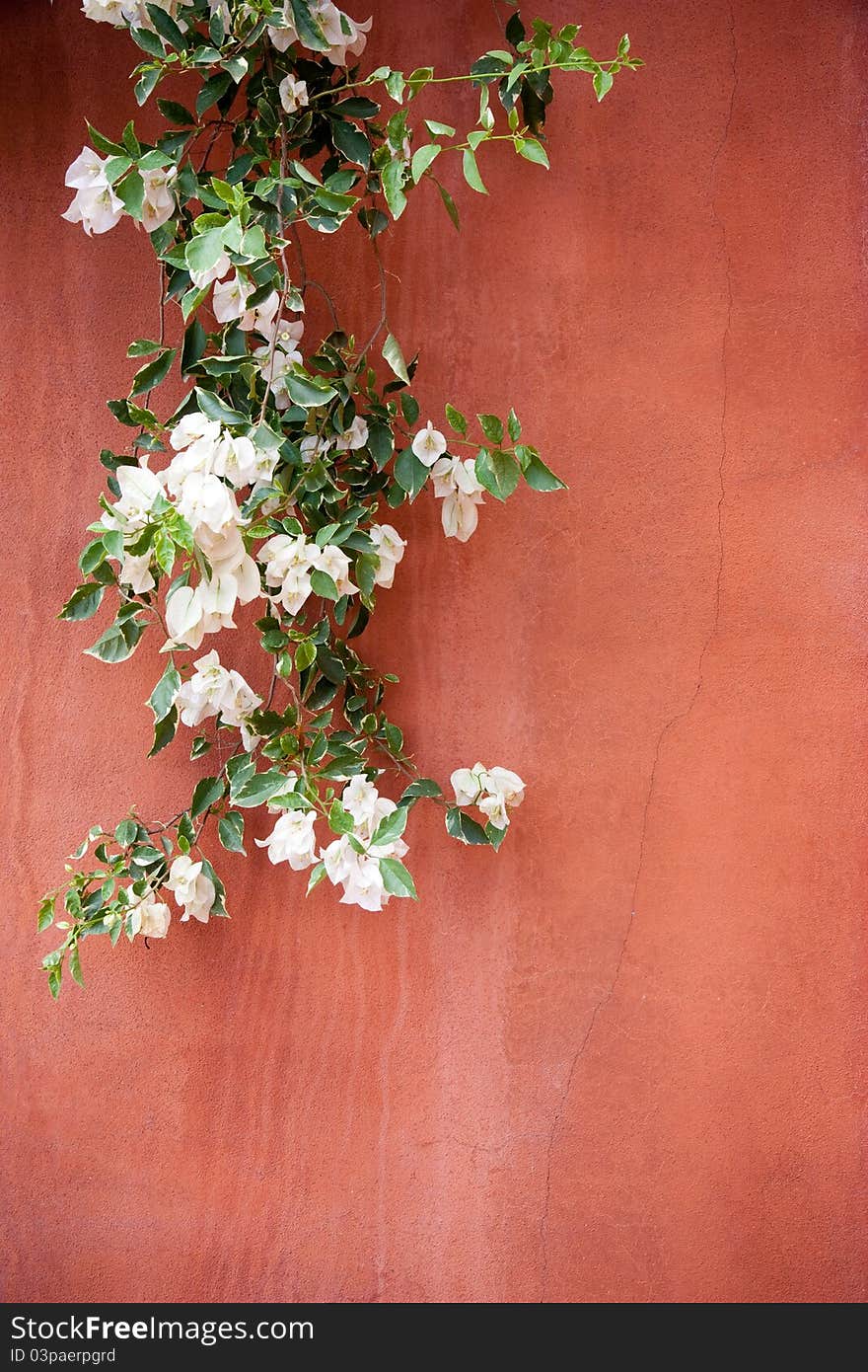 Brown background with a climber