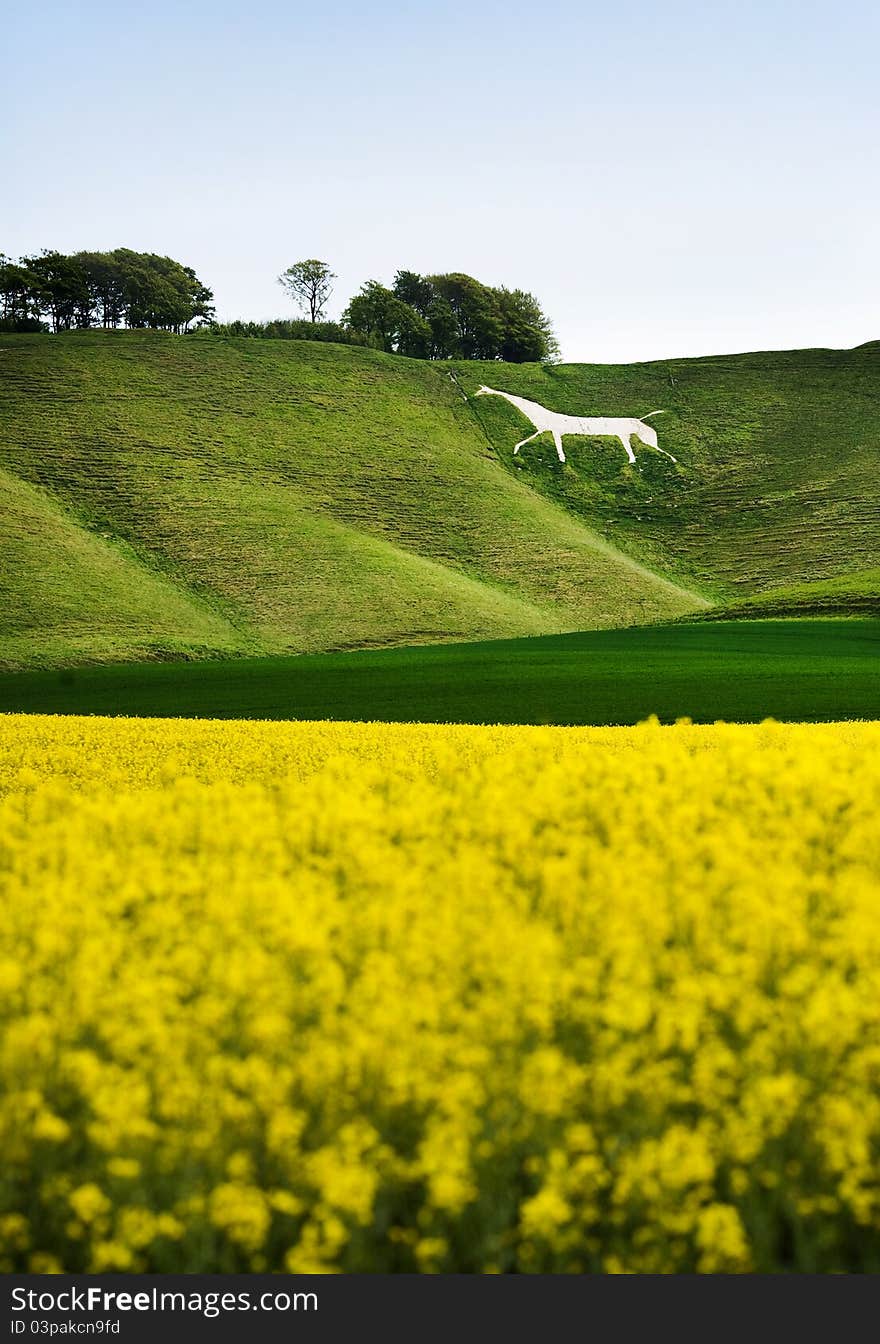 Cherhill White Horse, England