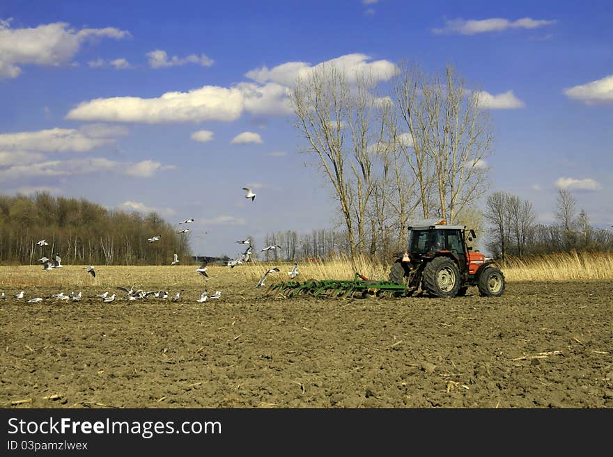 Tractor in field