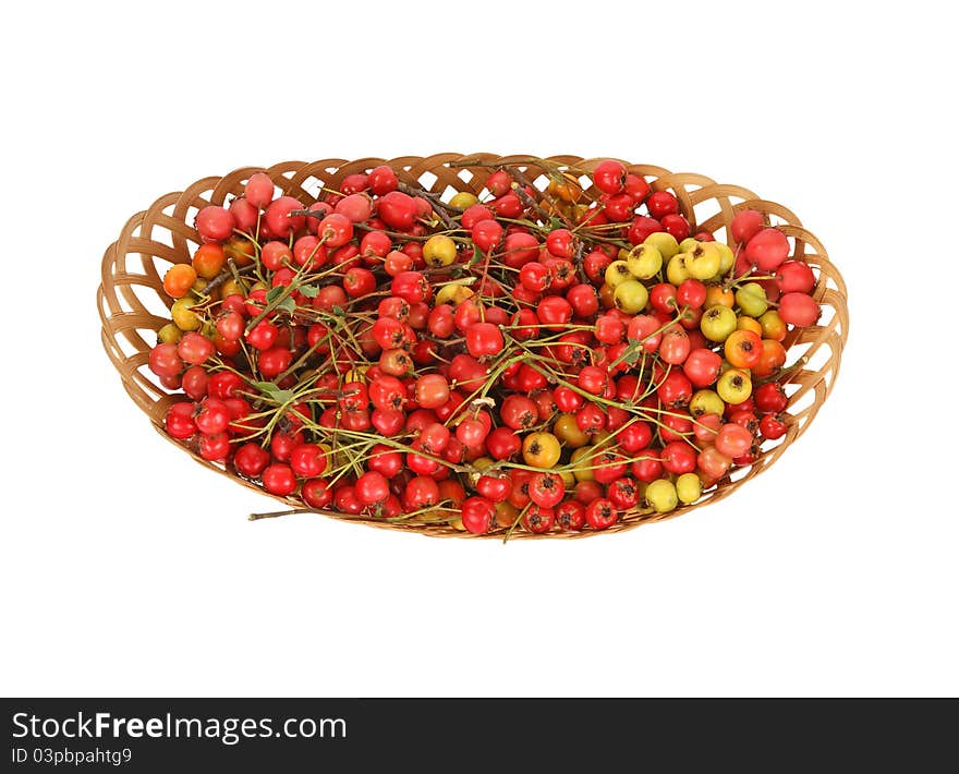 Hawthorn berries