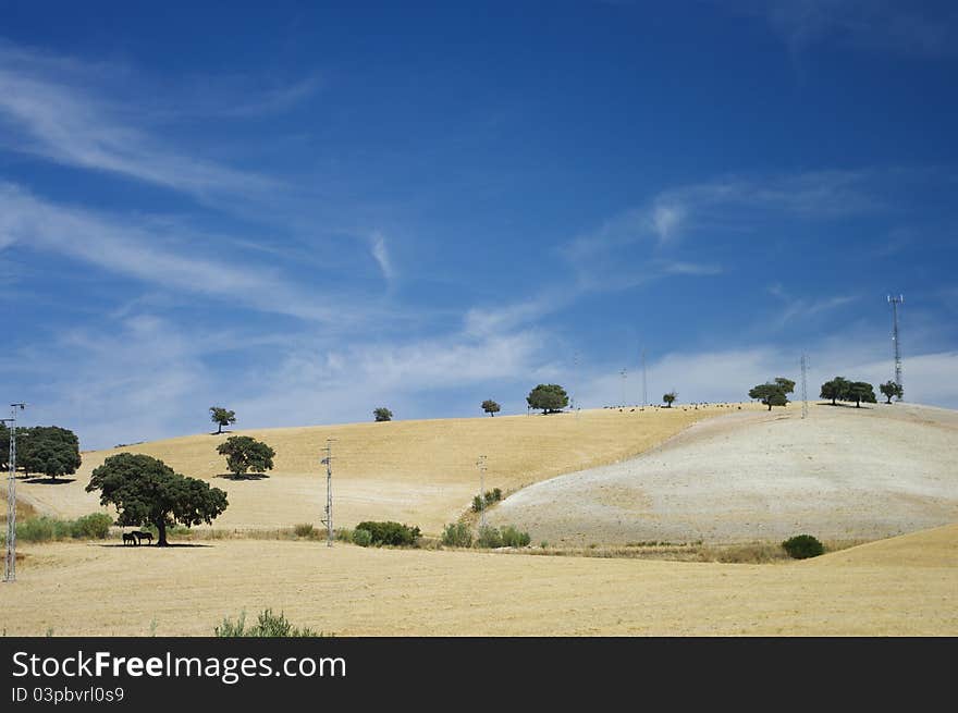 Andalusia Landscape