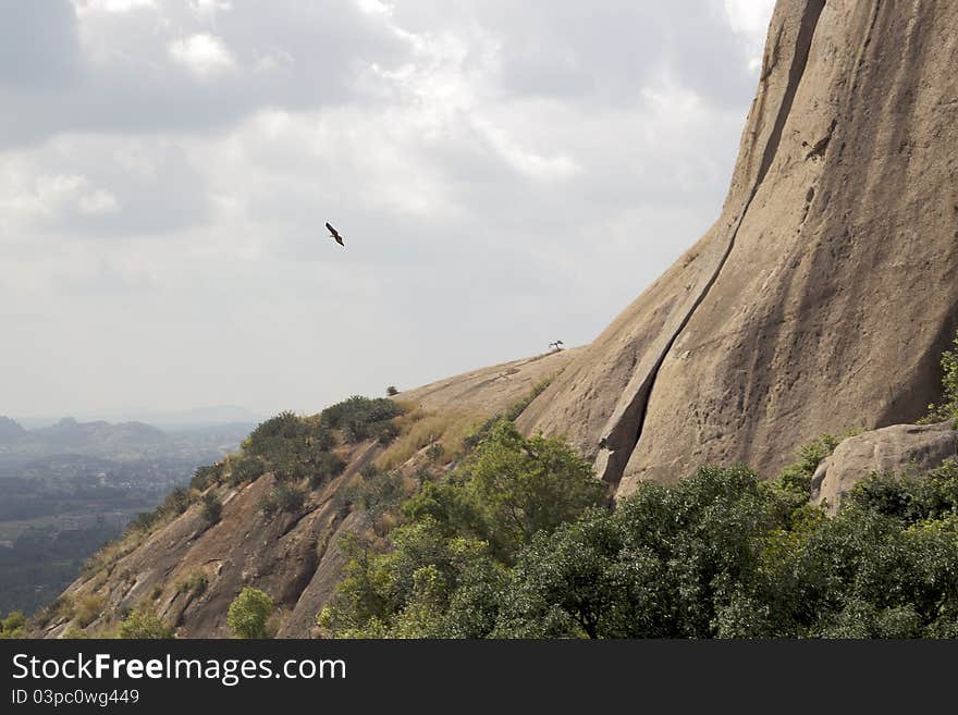 An eagle flying beside a sheer rocky cliff with cloud covered sky in the background. An eagle flying beside a sheer rocky cliff with cloud covered sky in the background