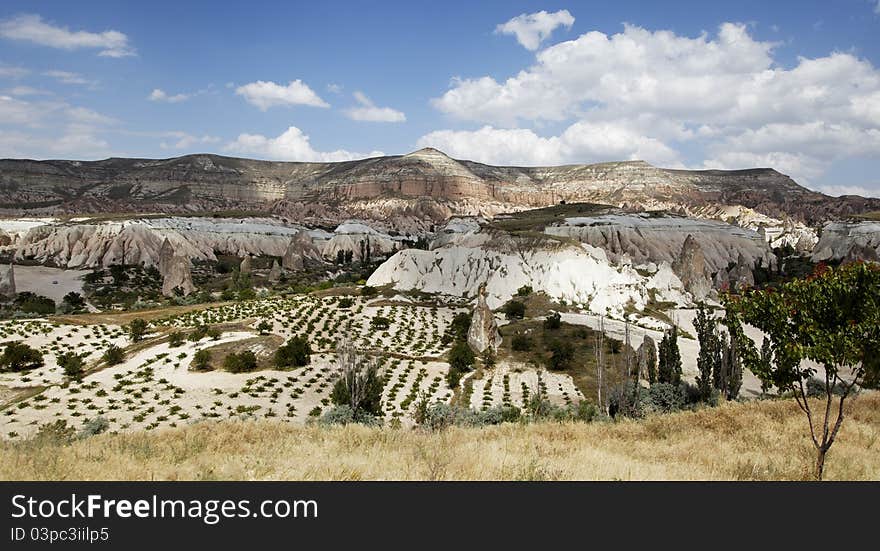 Agricultural patterns Goreme Cappadocia Turkey