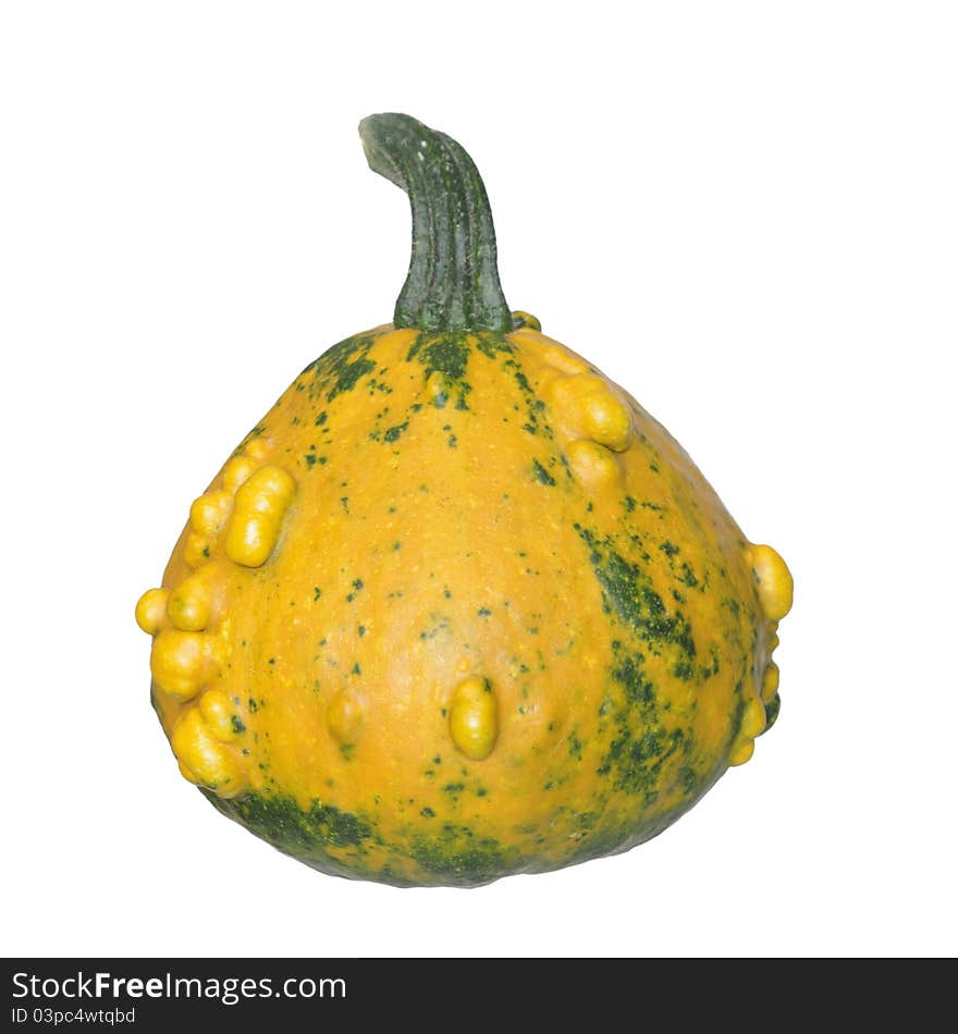 Yellow pumpkin on ehite background