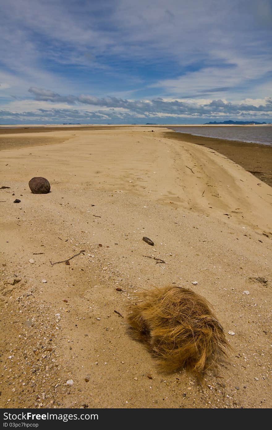 Coconut on the beach