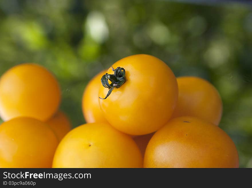 Yellow tomatoes