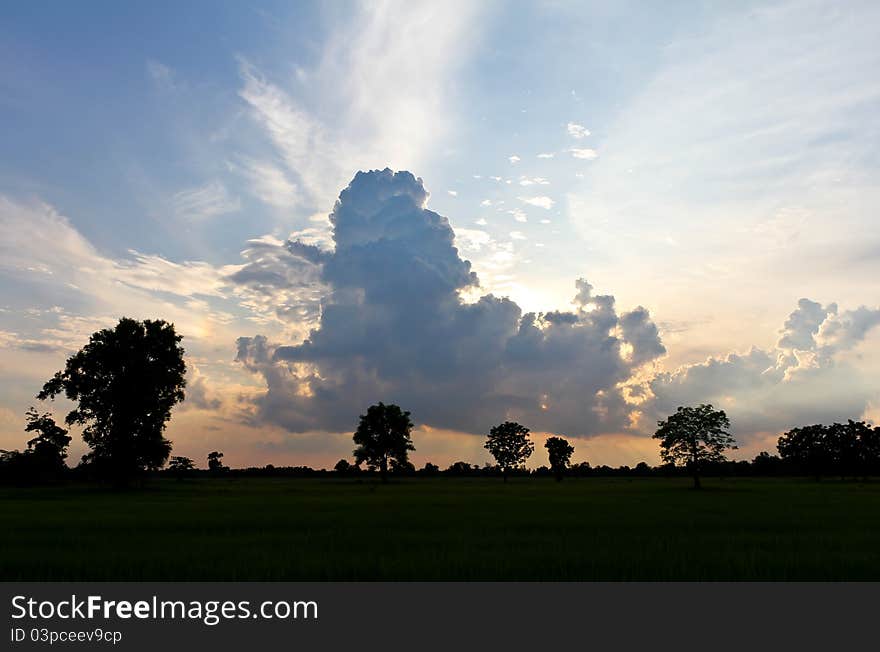 Images of white clouds in the sky. Images of white clouds in the sky.