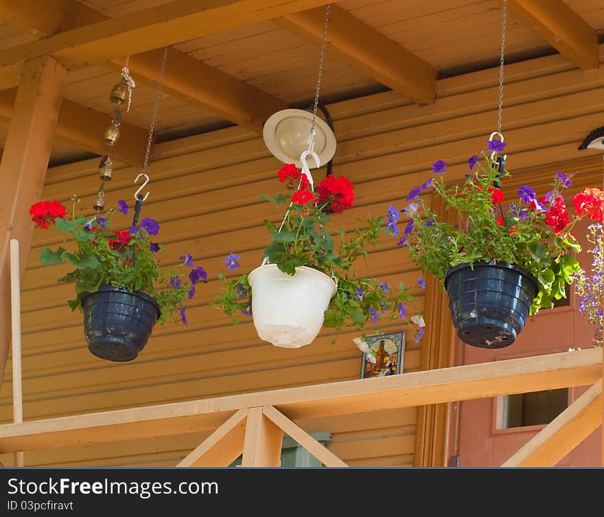 Potted flowers on the background of a wooden house