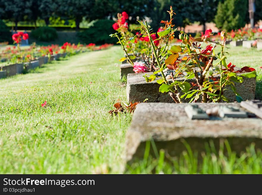 View of cemetery in Terezin, Czech Republic.