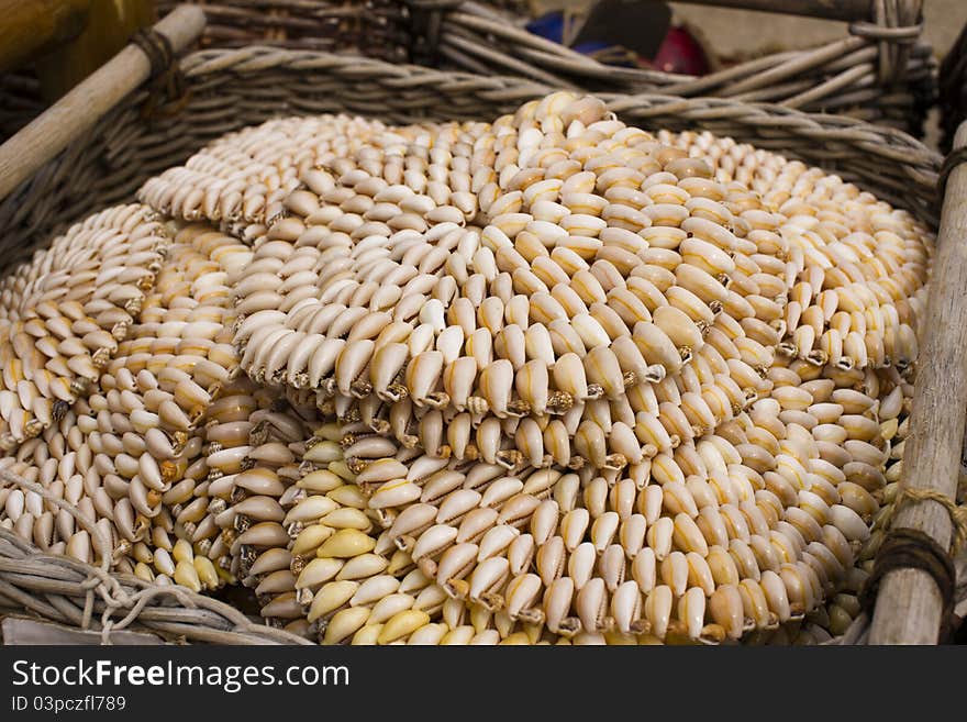 Set of seashells in form of circle