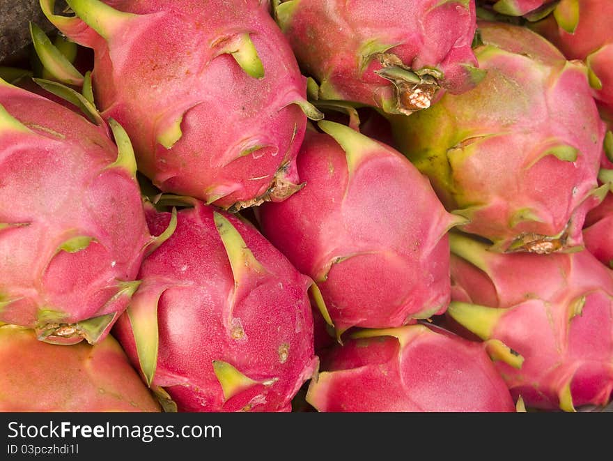 Three rows of fresh dragon fruit