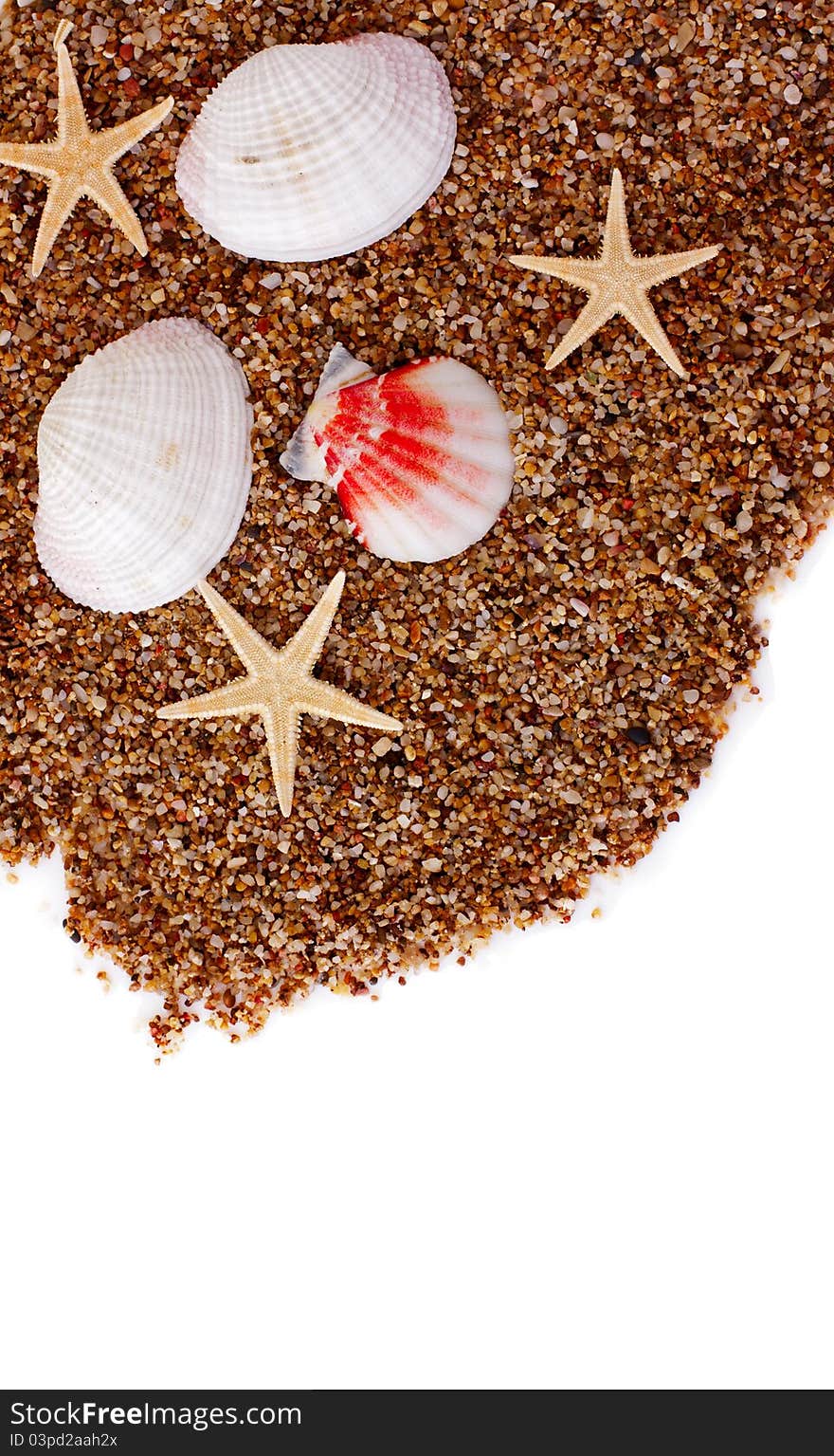 Sand and seashells background