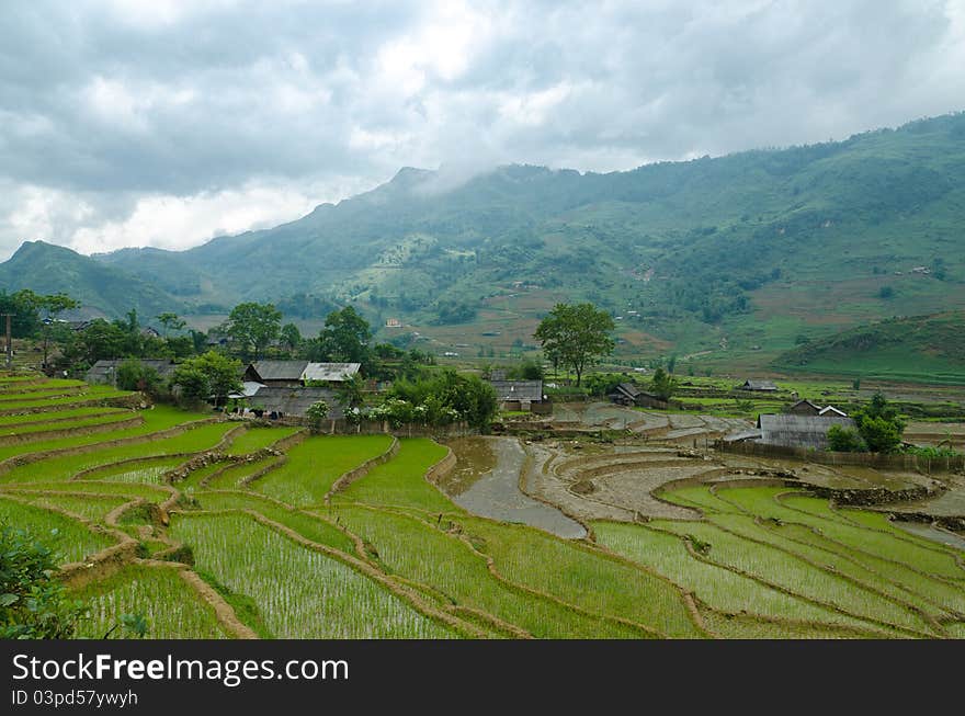 A view of a Hmong village in Sapa Valley. You can rent rooms in stayhomes and spend some time with people of the Hmong tribe. A view of a Hmong village in Sapa Valley. You can rent rooms in stayhomes and spend some time with people of the Hmong tribe.