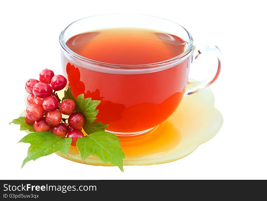 Cup of tea with viburnum isolated on white  background