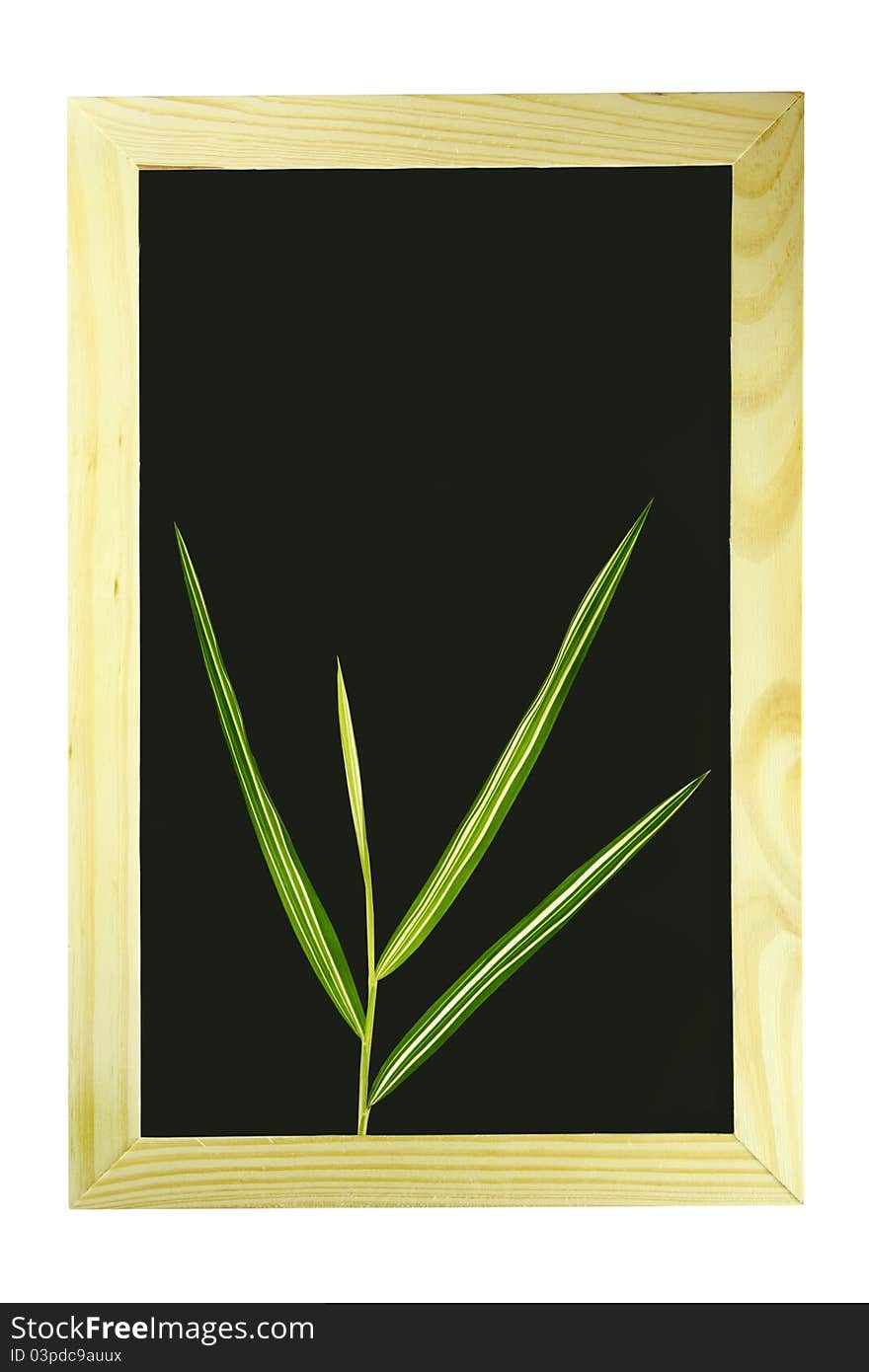 Bamboo leaf