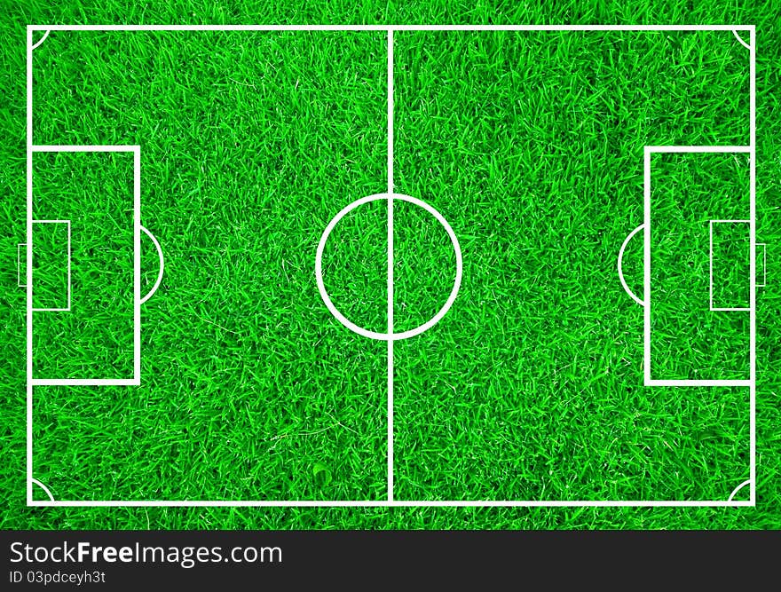 Soccer field with white lines on green grass