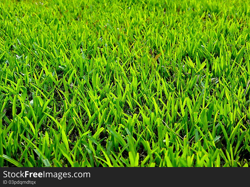 Grunge football grass field background