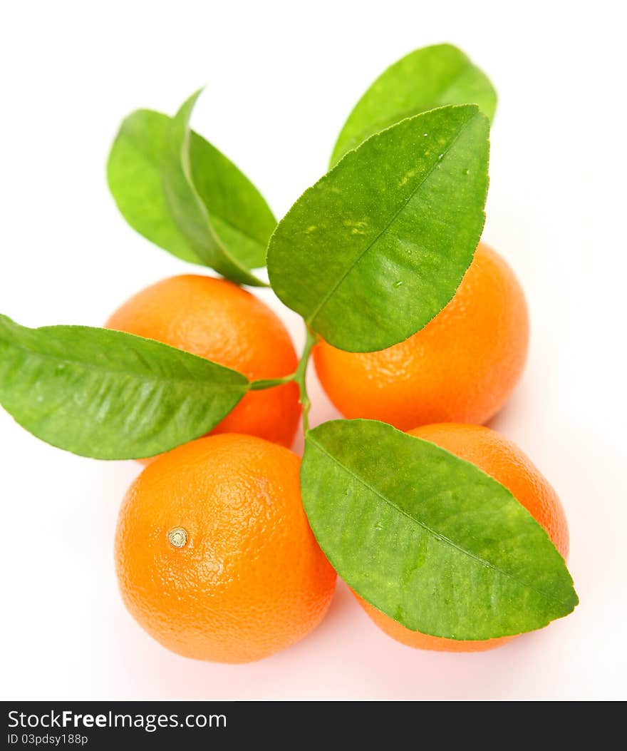 Fresh fruit on a white background. Fresh fruit on a white background